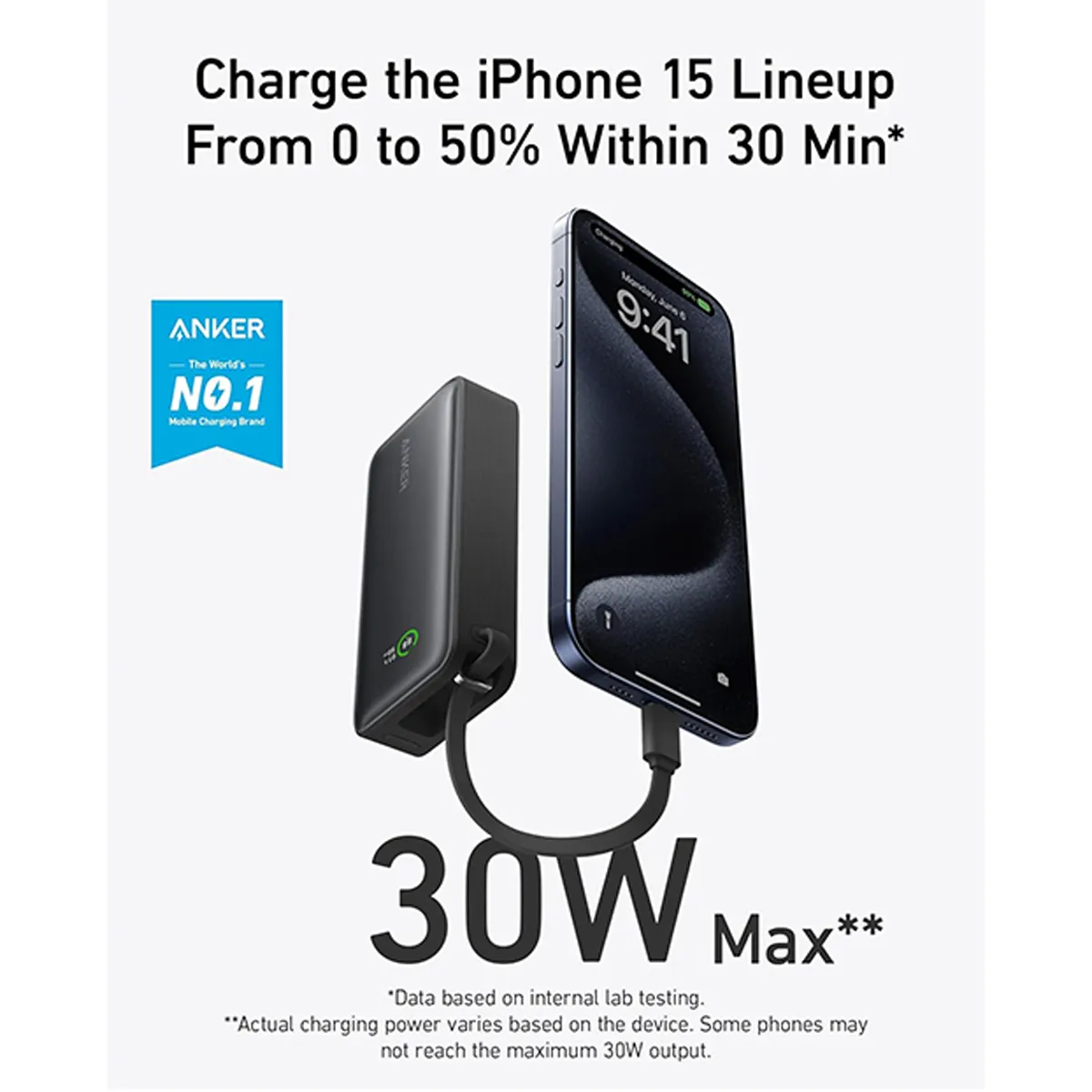 پاوربانک انکر Anker Power Bank (PowerCore 30W) مدل A1259
