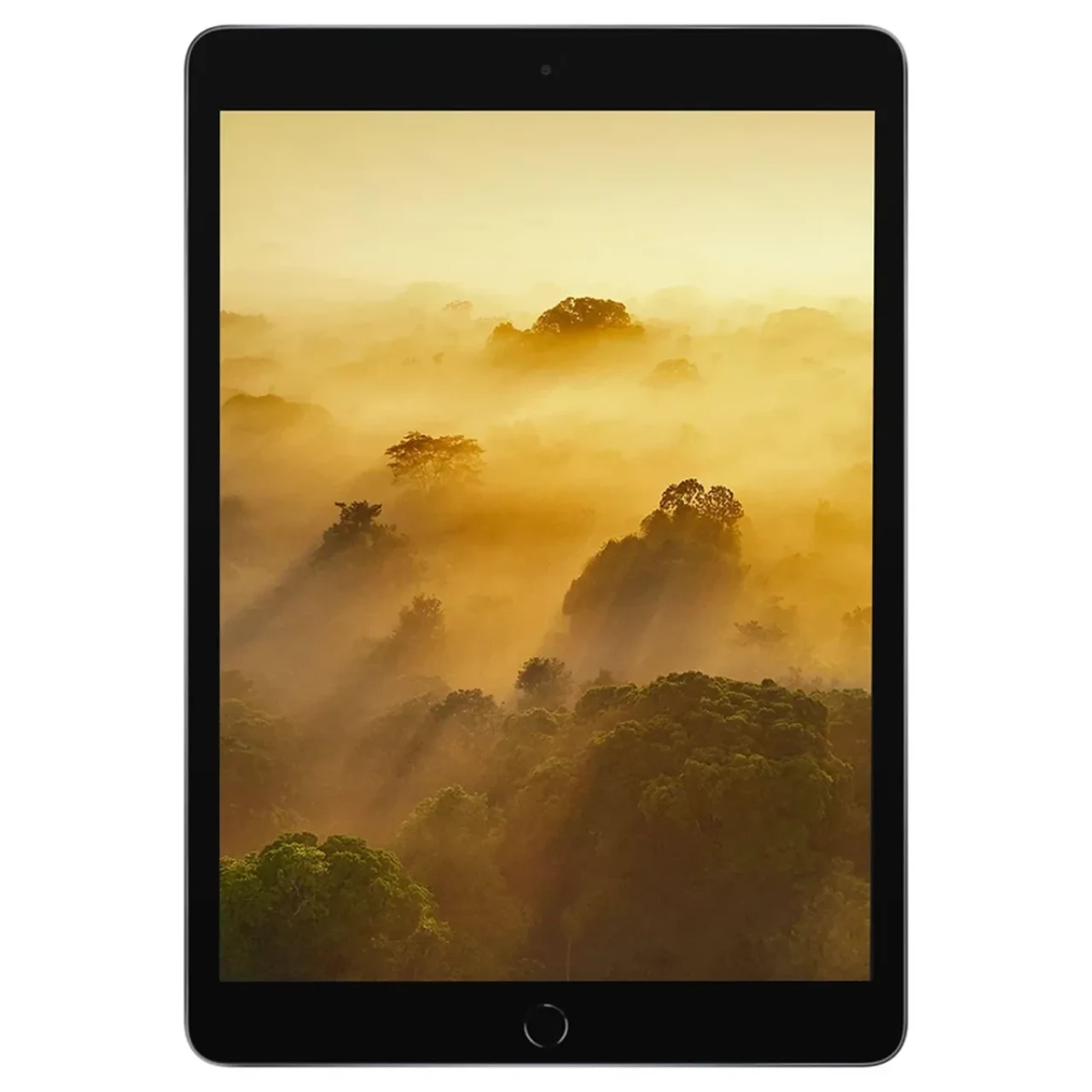 تبلت استوک 10.2 اینچی اپل مدل Apple iPad 9 2021 Wi-Fi 3GB 256SSD