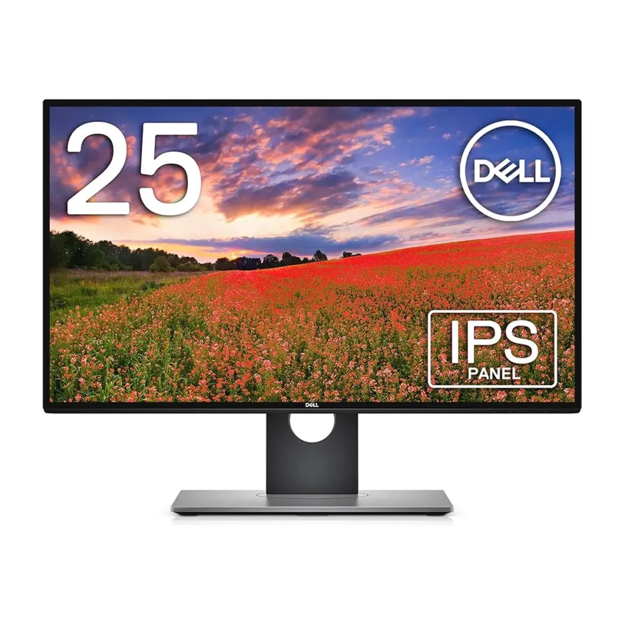 مانیتور استوک 25 اینچی دل مدل Dell UltraSharp U2518D
